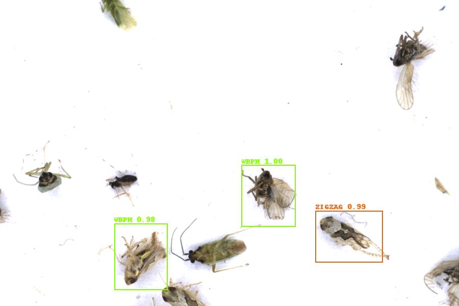 Image 22